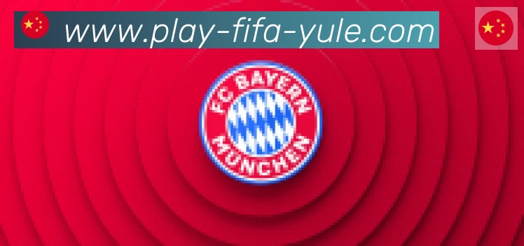 FIFA世界杯买球官方网站合作伙伴